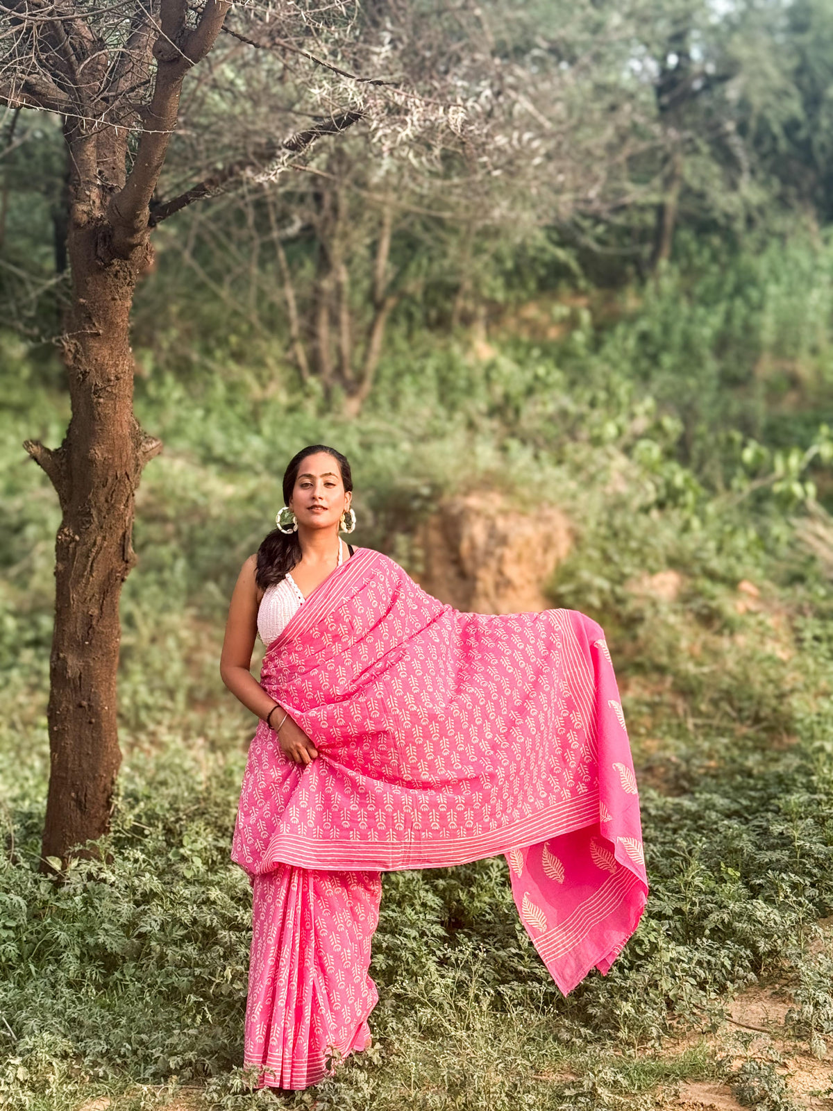 Chandni Gulab (चाँदनी गुलाब) - The light of nature’s poetry