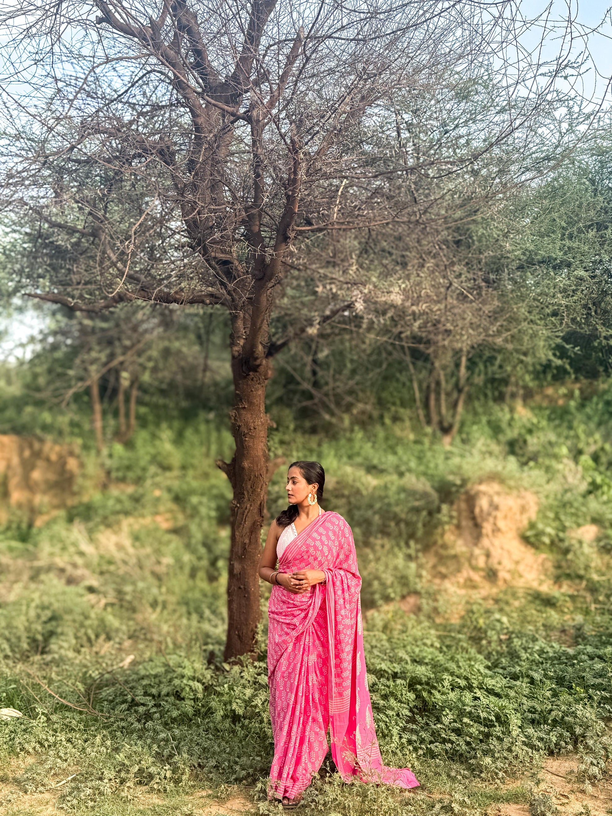 Chandni Gulab (चाँदनी गुलाब) - The light of nature’s poetry